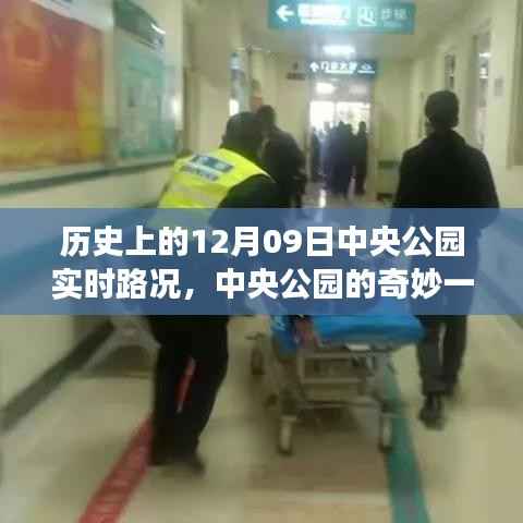 中央公园历史路况纪实,奇妙一天与温情故事回顾