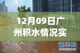 广州积水实时报道,水城奇遇中的暖心故事