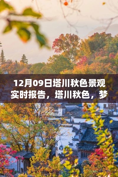 梦幻塔川秋色,12月9日实时景观报告