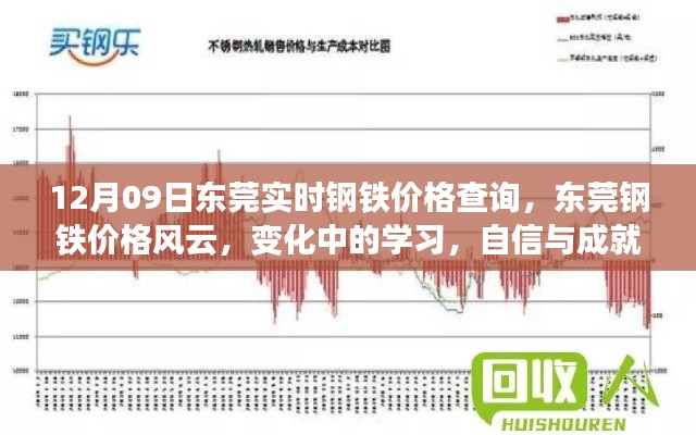 东莞钢铁价格风云,实时查询,洞悉变化,成就自信与成功之路
