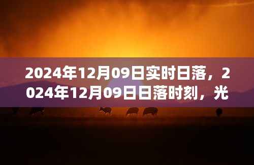 光影交织的壮丽瞬间,2024年12月09日日落时刻实拍日落美景