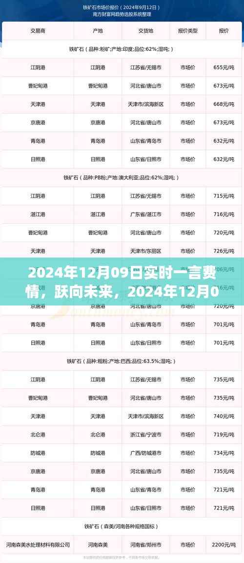 跃向未来,转变与自我超越的励志之旅——2024年12月09日实时一言费情回顾与展望