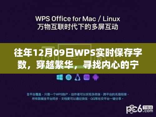WPS实时记录自然之旅,穿越繁华寻找内心宁静绿洲的启示