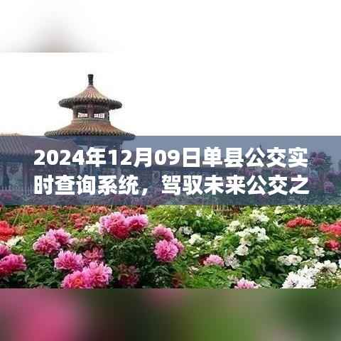 单县公交实时查询系统,驾驭未来的励志之旅