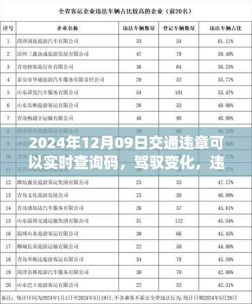 驾驭变化,实时交通违章查询码助力轻松出行
