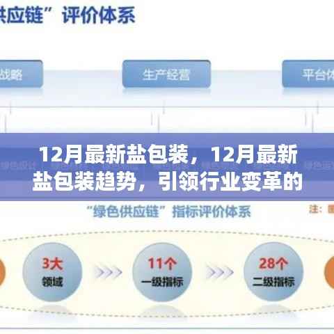 12月最新盐包装趋势引领行业变革,揭秘关键所在