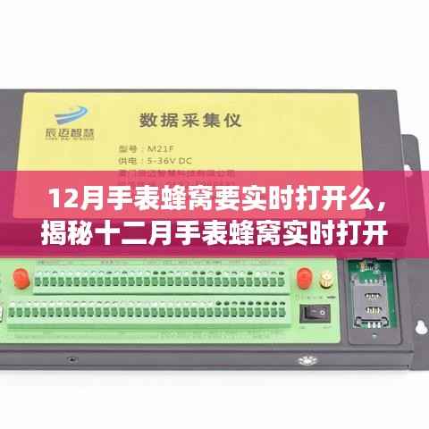 揭秘，十二月手表蜂窝实时打开背后的故事与重要性