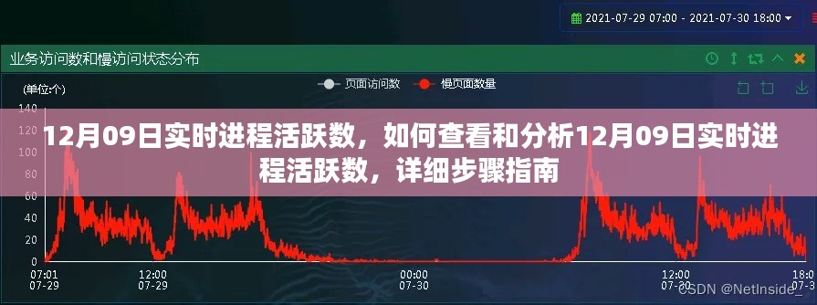 12月09日实时进程活跃数详解,查看与分析步骤指南