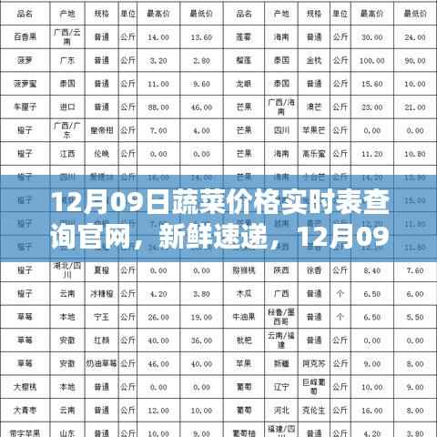 12月09日蔬菜价格实时表查询官网,最新动态一键掌握