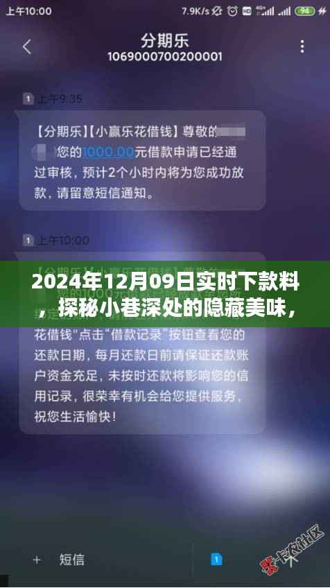 探秘小巷深处隐藏美味,独家体验2024年12月09日实时下款料美食之旅
