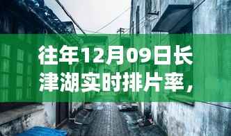 长津湖畔电影时光,揭秘12月09日排片率背后的故事