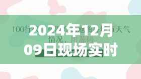 温馨日常与奇遇记,现场实时版2024年12月09日