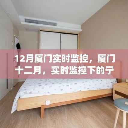 厦门十二月,实时监控下的宁静探索之旅