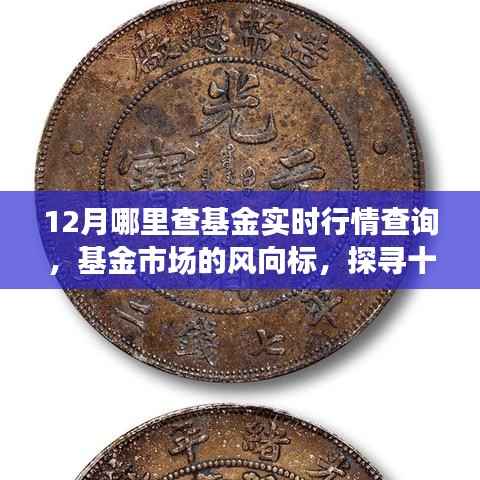 十二月基金实时行情查询全解析,风向标与市场影响深度探寻