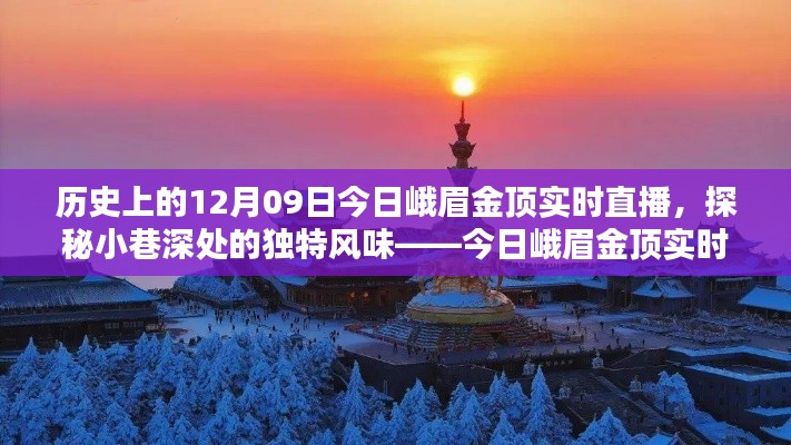 峨眉金顶实时直播,历史与现代的邂逅,探寻小巷深处的独特风味