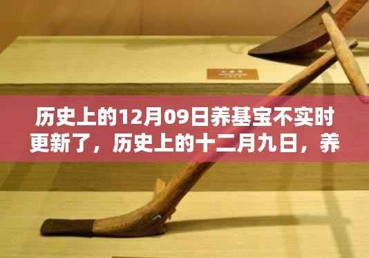 历史上的十二月九日,养基宝暂停更新及其深远影响