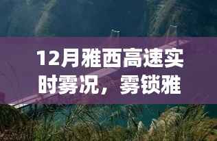 雾锁雅西高速,归途迷雾之旅实时报道