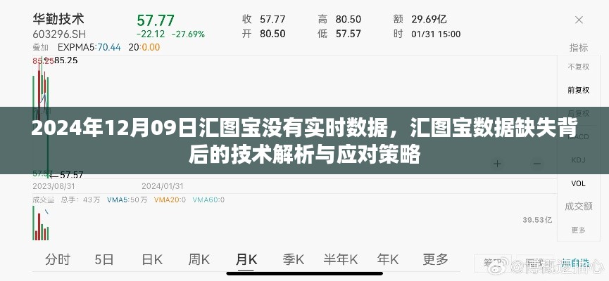 汇图宝数据缺失的技术解析与应对策略,实时数据缺失背后的探讨(2024年12月09日)