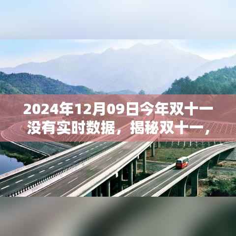 揭秘,为何今年双十一(2024年)没有实时数据呈现?