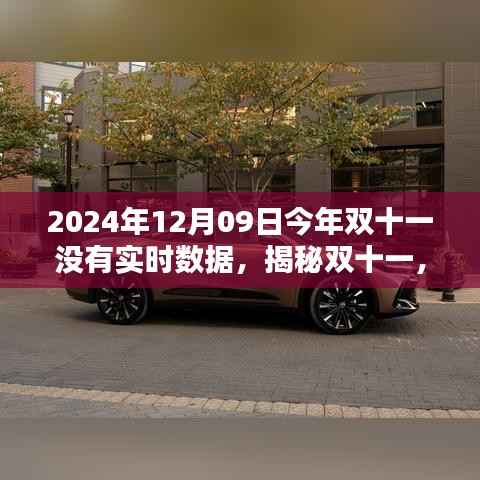 揭秘,为何今年双十一(2024年)没有实时数据呈现?