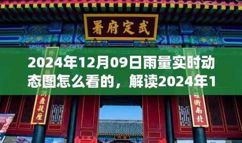 如何解读2024年12月09日雨量实时动态图,掌握关键信息应对天气变化