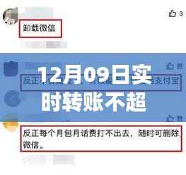 12月09日实时转账探寻自然美景,追寻内心宁静平和之旅