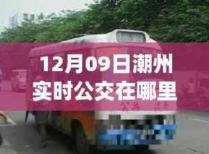 潮州实时公交查询指南，初学者到进阶用户全掌握，12月09日最新乘车信息一览