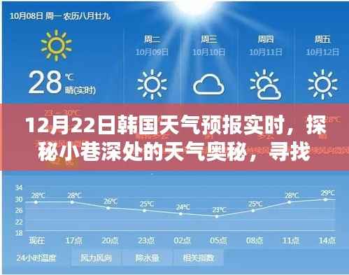 韩国冬日风情探秘,小巷深处的特色小店与天气预报实时体验之旅