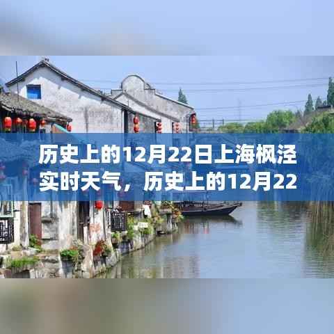 探寻上海枫泾自然美景之旅,历史上的12月22日实时天气与内心宁静的追寻