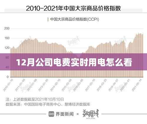 公司电费实时查看指南，12月用电监控全攻略