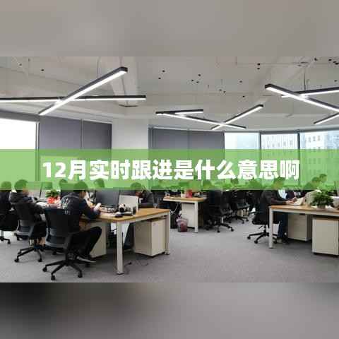 12月实时跟进的含义与特点解析