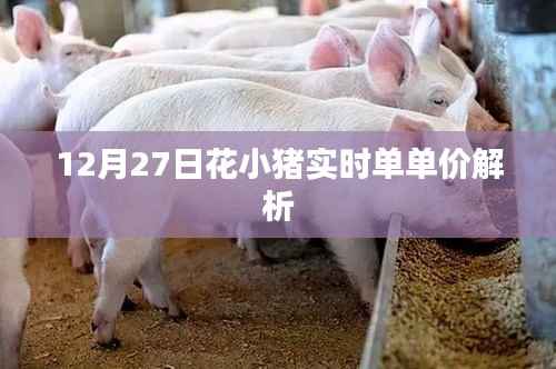 花小猪实时单单价解析,12月27日数据揭秘