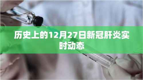 历史上的新冠肝炎实时动态,聚焦十二月二十七日进展
