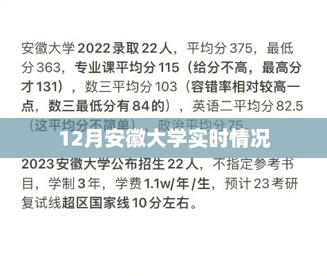 安徽大学十二月最新实时动态