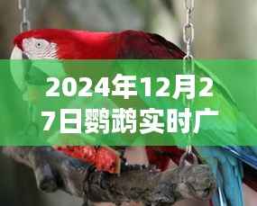广州鹦鹉天气实时播报,2024年12月27日天气展望