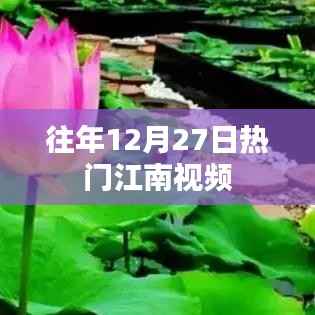 江南历年12月27日热门视频盘点