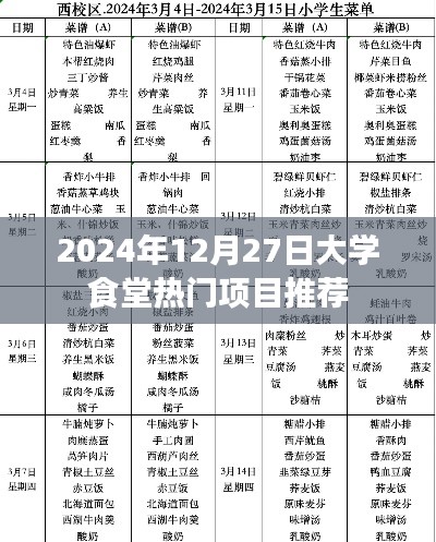 大学食堂热门餐饮项目推荐，2024年12月27日榜单