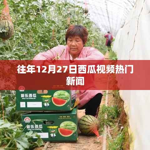 西瓜视频年终热点新闻回顾,往年12月27日盛况
