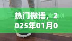 热门微语,语言潮流风向标 2025年1月3日