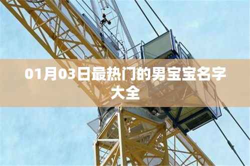 项目介绍 第279页