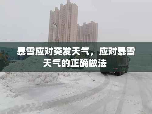 暴雪应对突发天气,应对暴雪天气的正确做法