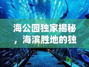 海公园独家揭秘,海滨胜地的独特魅力探索
