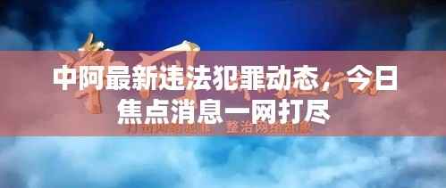 中阿最新违法犯罪动态,今日焦点消息一网打尽