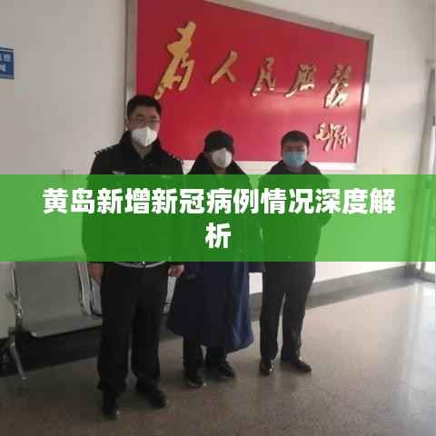 黄岛新增新冠病例情况深度解析