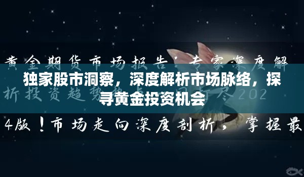 独家股市洞察,深度解析市场脉络,探寻黄金投资机会