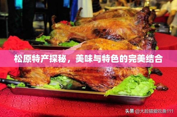 松原特产探秘,美味与特色的完美结合