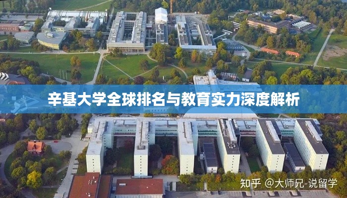 辛基大学全球排名与教育实力深度解析