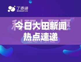 今日大田新闻热点速递