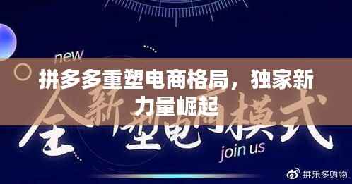拼多多重塑电商格局，独家新力量崛起