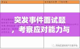 突发事件面试题,考察应对能力与心理素质,提升求职者综合素质表现